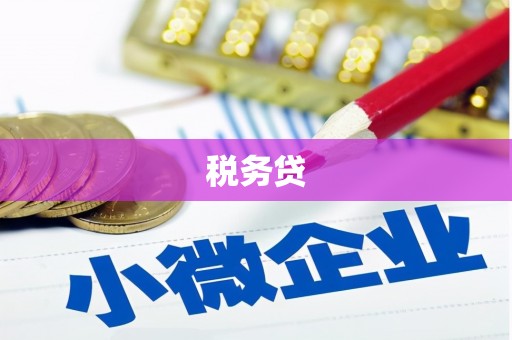 林周税务贷