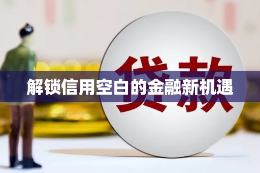 林周解锁信用空白的金融新机遇