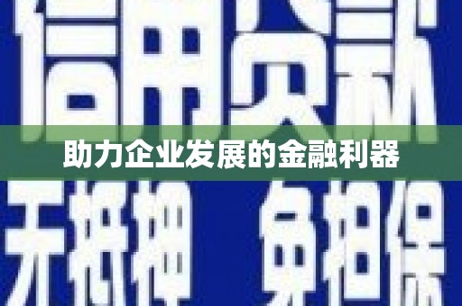 林周助力企业发展的金融利器