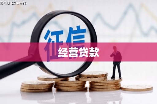 林周经营贷款
