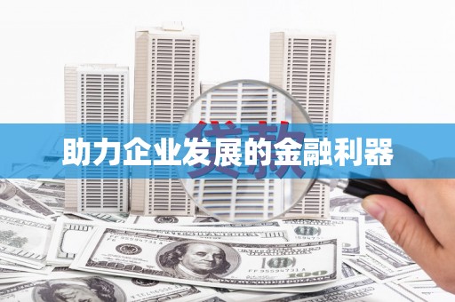 林周助力企业发展的金融利器