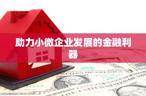 林周助力小微企业发展的金融利器