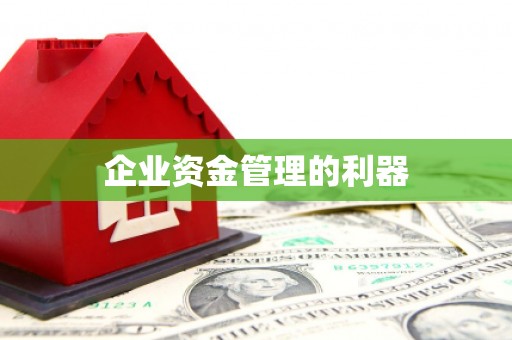 林周企业资金管理的利器