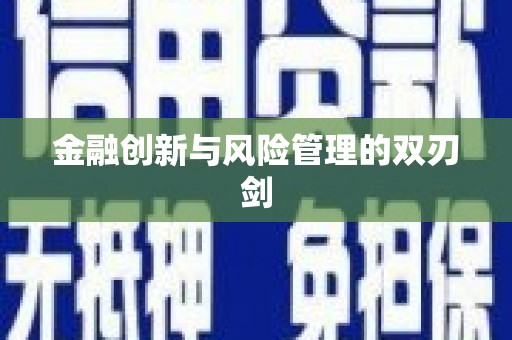 林周金融创新与风险管理的双刃剑