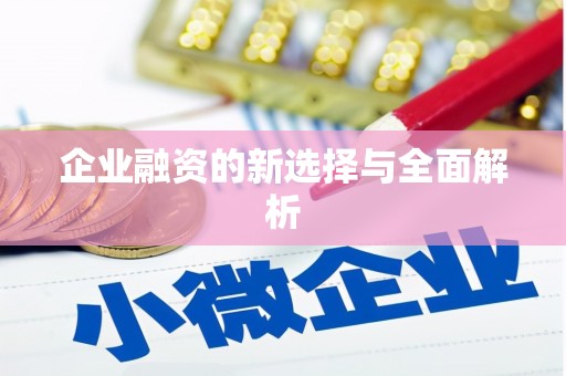 林周企业融资的新选择与全面解析