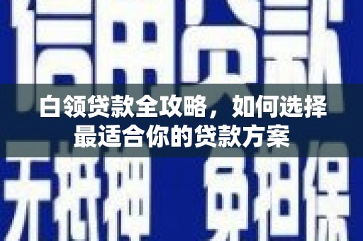 林周白领贷款全攻略，如何选择最适合你的贷款方案