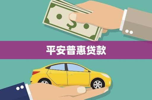 林周平安普惠贷款