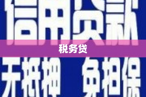 林周税务贷